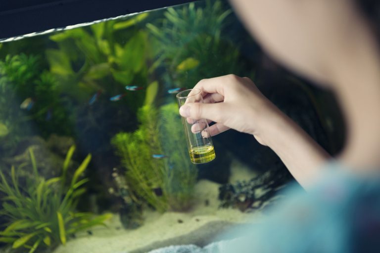 5 Critical Signs That Your Water Parameters Are Off (And How to Fix Them)