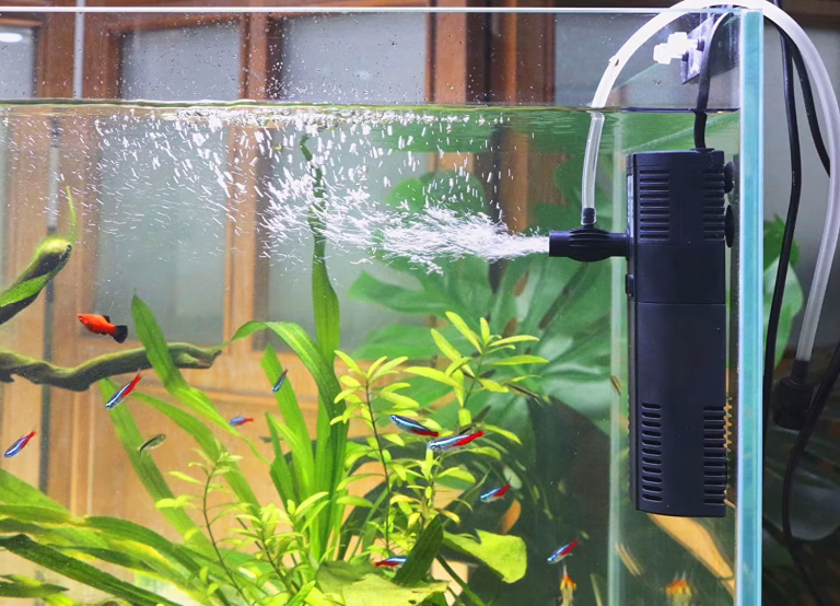 Canister Filter vs. Hang-on-Back vs. Sponge Filter: Which Is the Best Filter for Your Tank?
